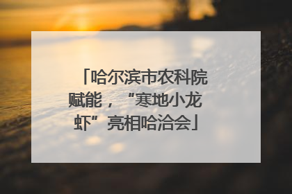 哈尔滨市农科院赋能，“寒地小龙虾”亮相哈洽会