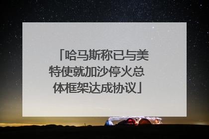 哈马斯称已与美特使就加沙停火总体框架达成协议