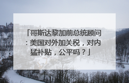 哥斯达黎加前总统顾问：美国对外加关税，对内猛补贴，公平吗？