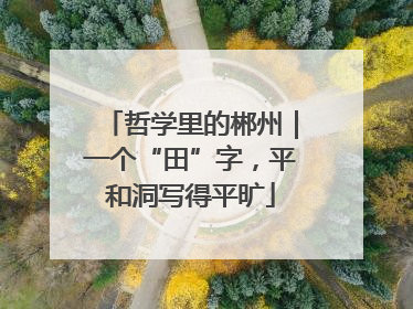 哲学里的郴州｜一个“田”字，平和洞写得平旷