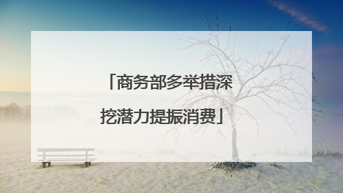 商务部多举措深挖潜力提振消费