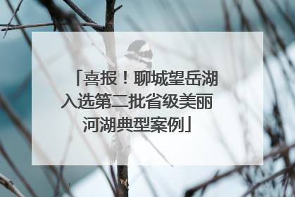 喜报！聊城望岳湖入选第二批省级美丽河湖典型案例