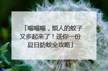 嗡嗡嗡，烦人的蚊子又多起来了！送你一份夏日防蚊全攻略