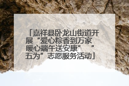 嘉祥县卧龙山街道开展“爱心粽香到万家 暖心端午送安康” “五为”志愿服务活动