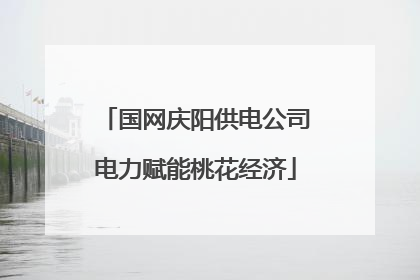 国网庆阳供电公司电力赋能桃花经济