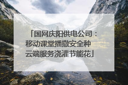 国网庆阳供电公司：移动课堂播撒安全种 云端服务浇灌节能花