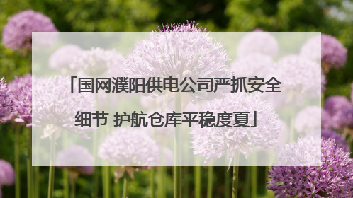 国网濮阳供电公司严抓安全细节 护航仓库平稳度夏