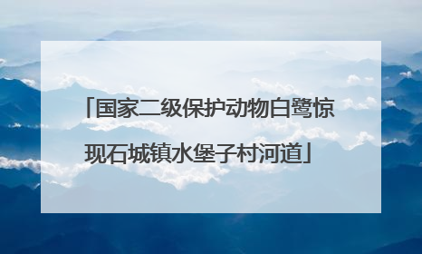 国家二级保护动物白鹭惊现石城镇水堡子村河道