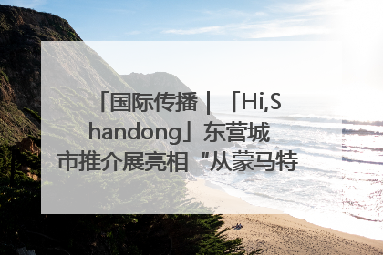 国际传播｜「Hi,Shandong」东营城市推介展亮相“从蒙马特到加里波第”文化节