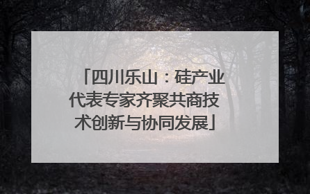 四川乐山：硅产业代表专家齐聚共商技术创新与协同发展