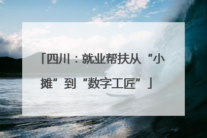 四川：就业帮扶从“小摊”到“数字工匠”