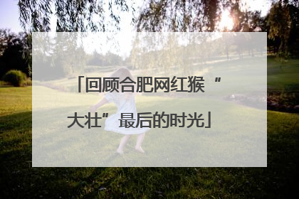 回顾合肥网红猴“大壮”最后的时光