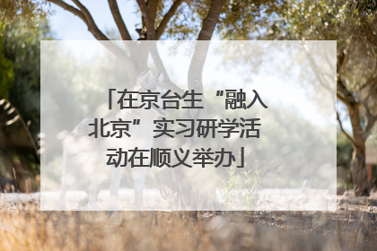 在京台生“融入北京”实习研学活动在顺义举办