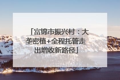 富锦市振兴村：大垄密植+全程托管走出增收新路径