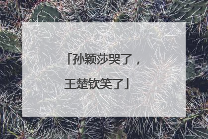 孙颖莎哭了，王楚钦笑了
