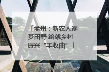 孟州：新农人逐梦田野 绘就乡村振兴“丰收曲”