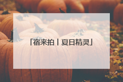宿来拍丨夏日精灵