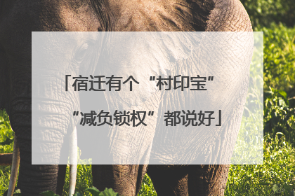 宿迁有个“村印宝” “减负锁权”都说好