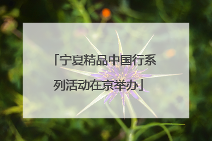 宁夏精品中国行系列活动在京举办