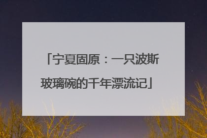 宁夏固原：一只波斯玻璃碗的千年漂流记
