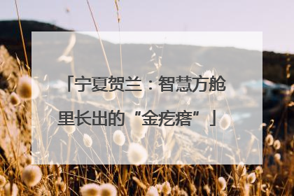 宁夏贺兰：智慧方舱里长出的“金疙瘩”