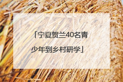 宁夏贺兰40名青少年到乡村研学