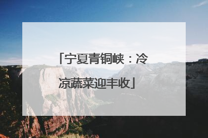宁夏青铜峡：冷凉蔬菜迎丰收