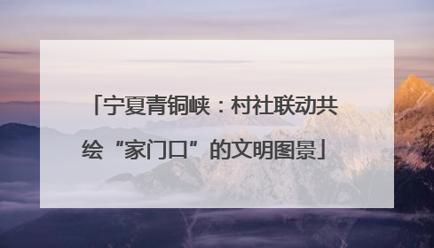 宁夏青铜峡：村社联动共绘“家门口”的文明图景