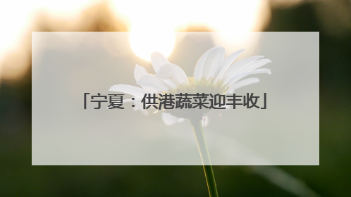 宁夏：供港蔬菜迎丰收