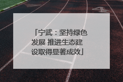 宁武：坚持绿色发展 推进生态建设取得显著成效