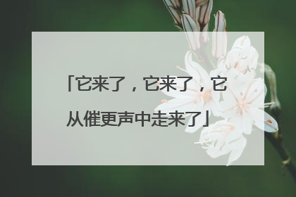 它来了，它来了，它从催更声中走来了