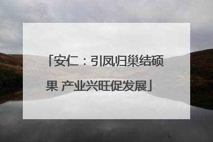 安仁：引凤归巢结硕果 产业兴旺促发展