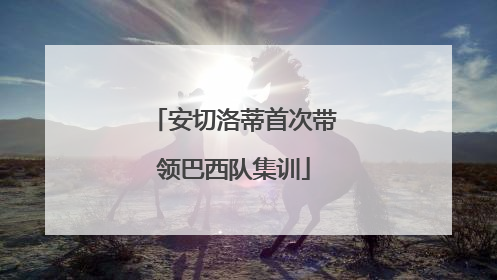安切洛蒂首次带领巴西队集训