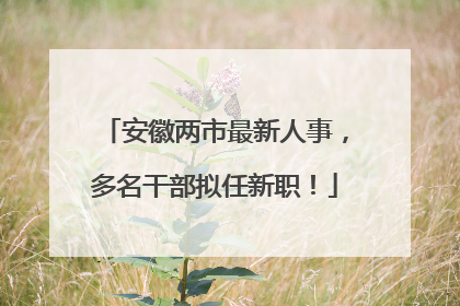 安徽两市最新人事，多名干部拟任新职！