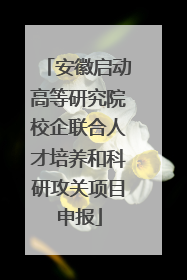 安徽启动高等研究院校企联合人才培养和科研攻关项目申报