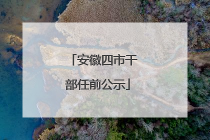 安徽四市干部任前公示