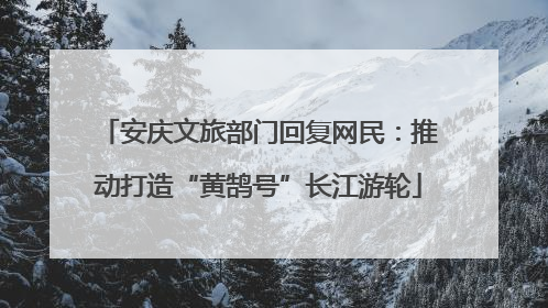 安庆文旅部门回复网民：推动打造“黄鹄号”长江游轮
