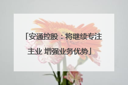 安通控股：将继续专注主业 增强业务优势