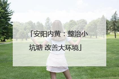 安阳内黄：整治小坑塘 改善大环境