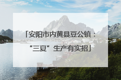 安阳市内黄县豆公镇：“三夏”生产有实招