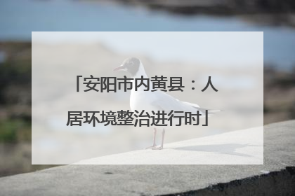 安阳市内黄县：人居环境整治进行时