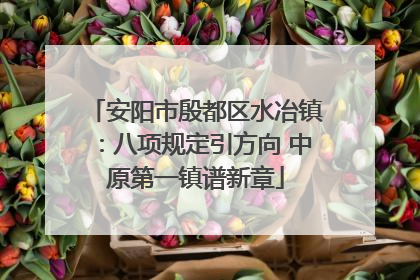 安阳市殷都区水冶镇：八项规定引方向 中原第一镇谱新章