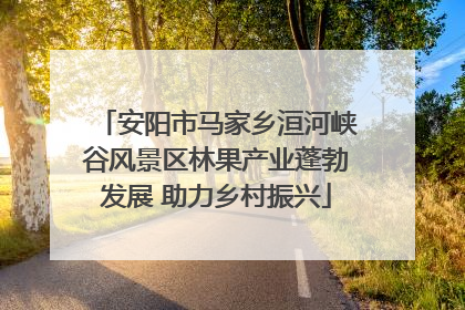 安阳市马家乡洹河峡谷风景区林果产业蓬勃发展 助力乡村振兴
