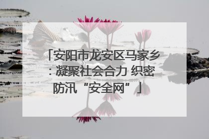安阳市龙安区马家乡：凝聚社会合力 织密防汛“安全网”