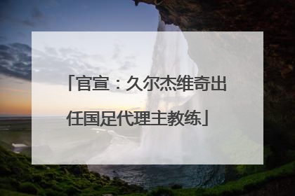 官宣：久尔杰维奇出任国足代理主教练