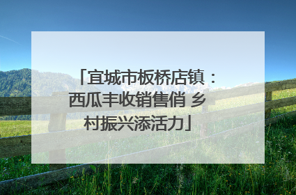 宜城市板桥店镇：西瓜丰收销售俏 乡村振兴添活力
