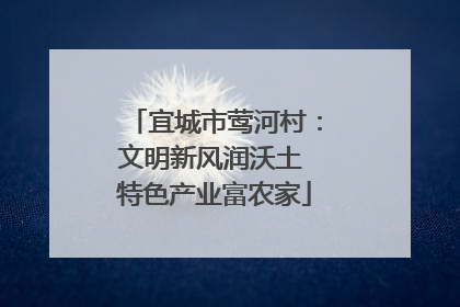 宜城市莺河村：文明新风润沃土 特色产业富农家