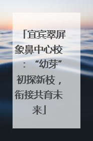 宜宾翠屏象鼻中心校：“幼芽”初探新枝，衔接共育未来