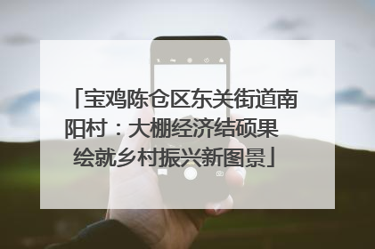 宝鸡陈仓区东关街道南阳村：大棚经济结硕果 绘就乡村振兴新图景