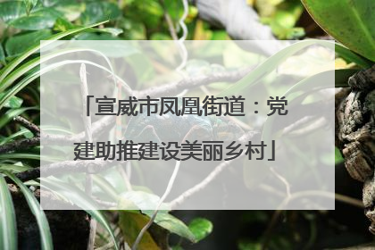 宣威市凤凰街道：党建助推建设美丽乡村